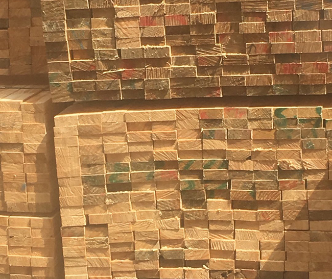 鲤城新西兰进口松木